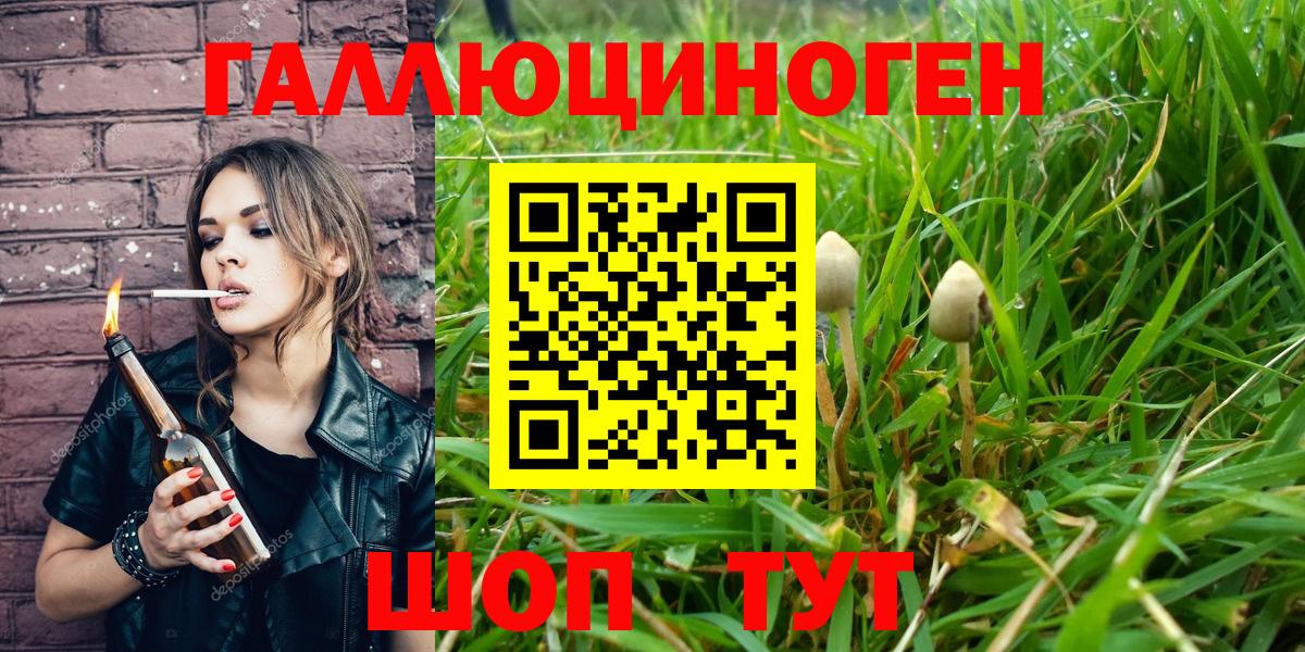 Магадан  Псилоцибиновые грибы Cubensis  Вход с VPN 