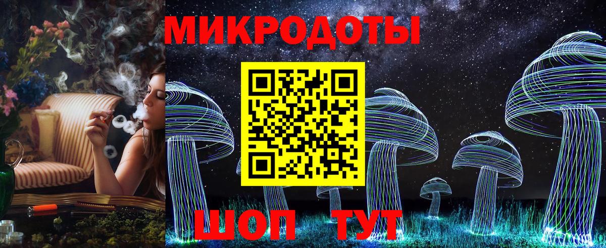 Галлюциногенные грибы Psilocybe Магадан